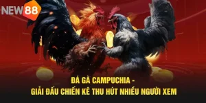 Đá Gà Campuchia New88 - Sân Chơi Xanh Chín, Chất Lượng 