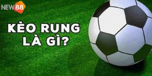 Kèo Rung Bóng Đá Là Gì? Kinh Nghiệm Soi Kèo Chuẩn