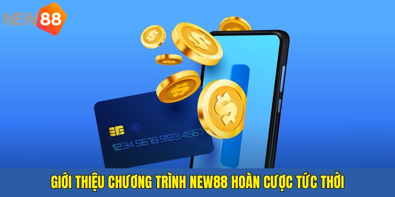 NEW88 hoàn trả tức thời