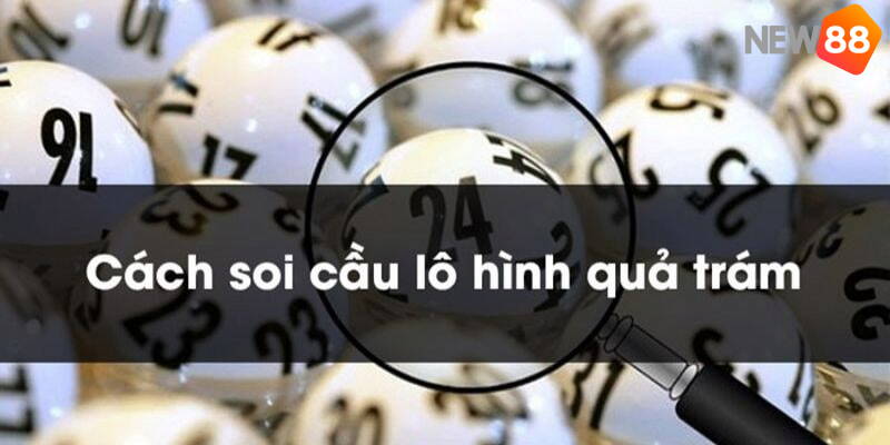 Bật mí chiến lược soi cầu quả trám chắc thắng