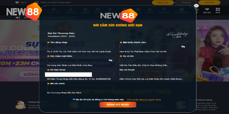 Xác nhận thông tin để có được tài khoản cược New88