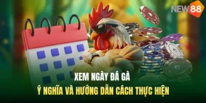 Xem Ngày Đá Gà - Ý Nghĩa Và Hướng Dẫn Cách Thực Hiện