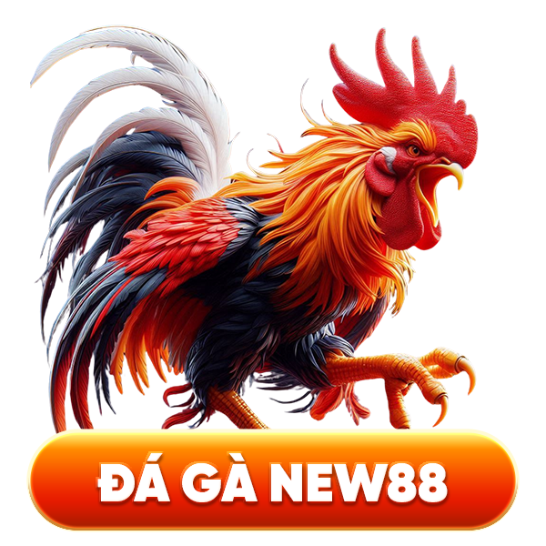 Đá gà New88
